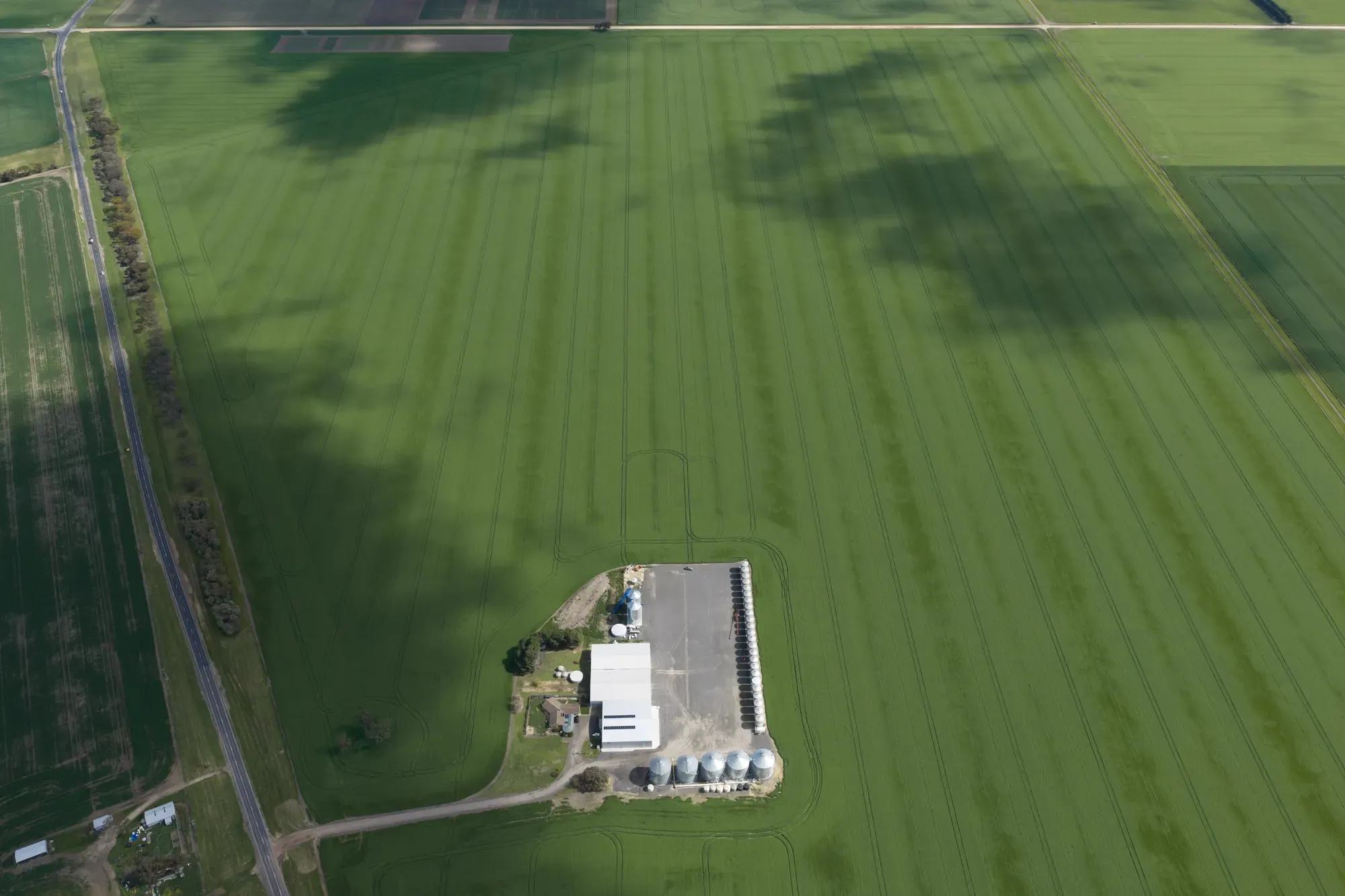 Aerial view of a large green barley paddock with a farm shed, a row of silos and a gravel yard in one corner, and a road running along the edge