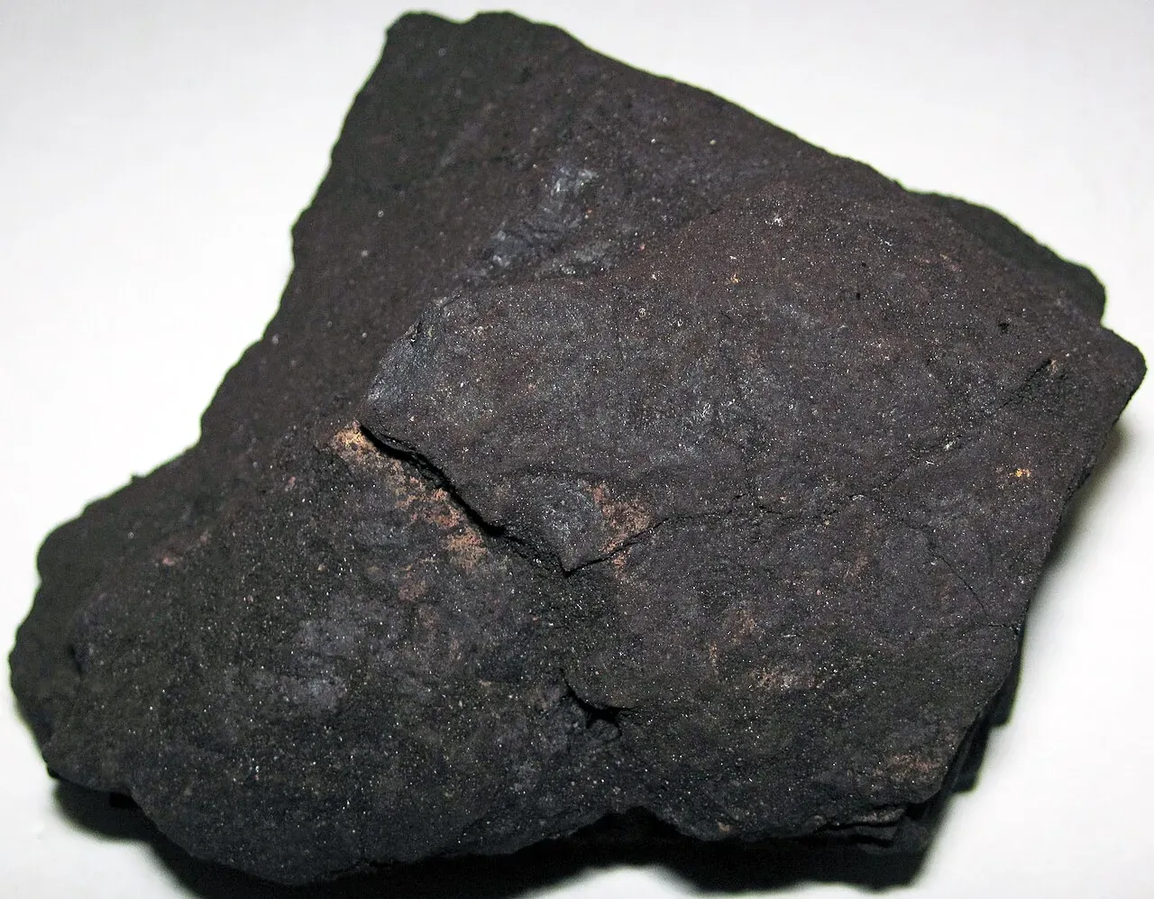 A dark brown to black lump of leonardite on a white background